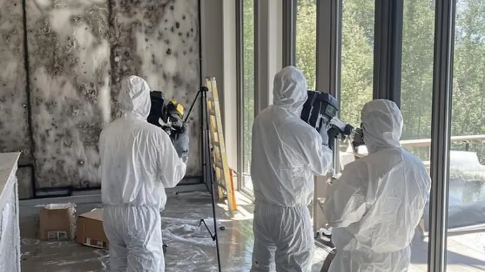 Team in protective suits photographing a mold-stained wall