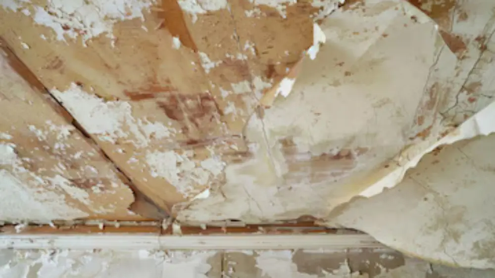 Water-damaged ceiling with peeling paint and loose drywall paper